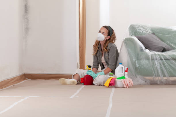 Reliable Mold Remediation contractor in Waynesboro, PA by WQB Mold Removal